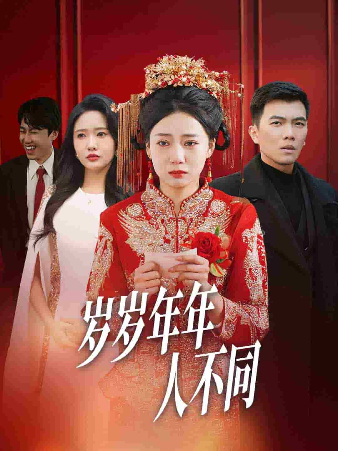 岁岁年年人不同海报